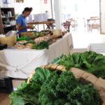Alimentos orgánicos y agroecológicos certificados