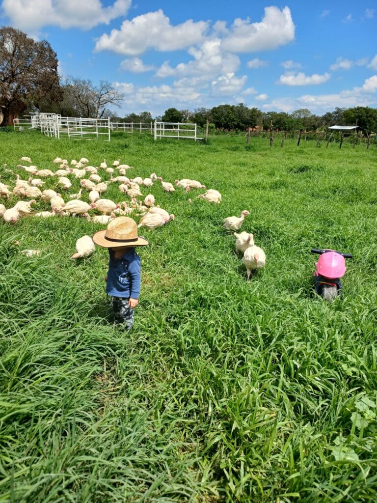 Imagen de WhatsApp 2025-05-30 a las 18.04.48_f56df8ca