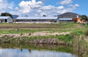 Imagen de WhatsApp 2025-06-06 a las 11.31.38_fba6bc1b