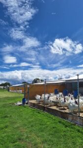 Imagen de WhatsApp 2025-06-06 a las 11.31.39_122b57a7