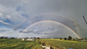 Imagen de WhatsApp 2025-06-06 a las 11.31.39_234cd42e