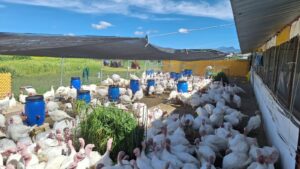 Imagen de WhatsApp 2025-06-06 a las 11.31.39_2811d6ca