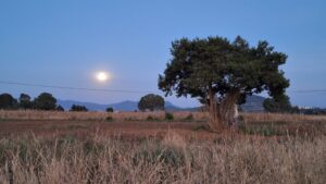 Imagen de WhatsApp 2025-06-06 a las 11.31.39_4e1bdaeb