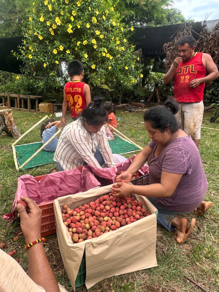 Imagen de WhatsApp 2025-06-06 a las 12.54.24_78312f3f