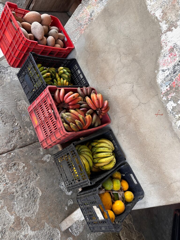 Imagen de WhatsApp 2025-06-06 a las 12.54.24_aa03f2b2